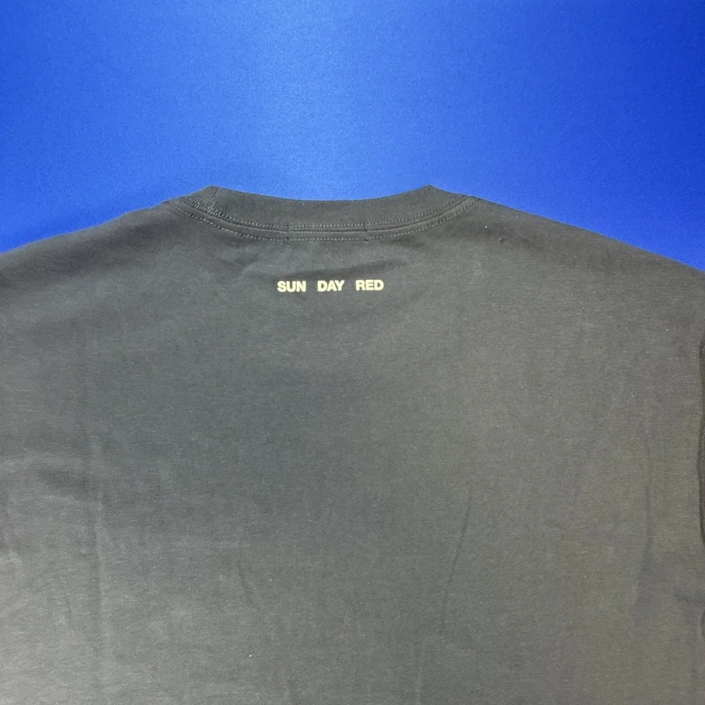 Sun Day Red Tiger Woods Modern Icon Men's Size Large T-Shirt Navy Blue
